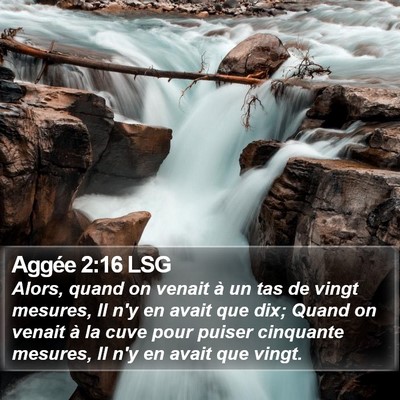 Aggée 2:16 LSG Bible Verse Image