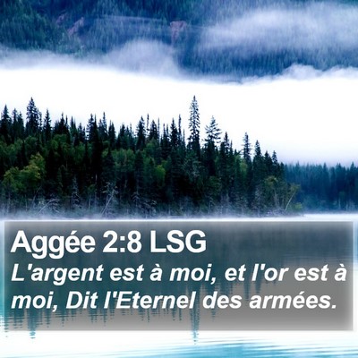 Aggée 2:8 LSG Bible Verse Image