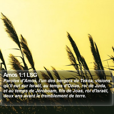 Amos 1:1 LSG Bible Verse Image