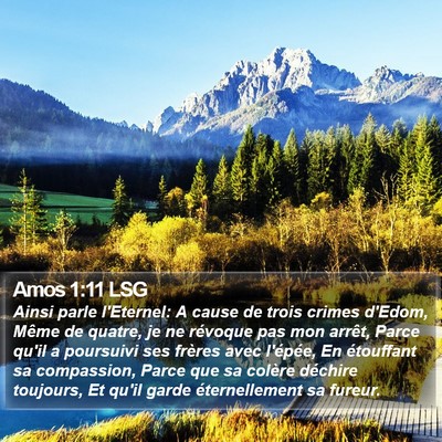 Amos 1:11 LSG Bible Verse Image