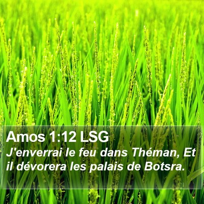 Amos 1:12 LSG Bible Verse Image