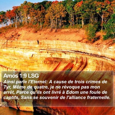 Amos 1:9 LSG Bible Verse Image