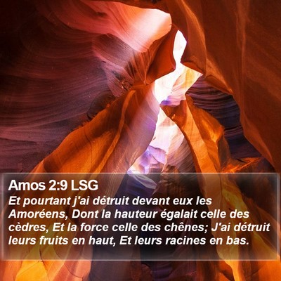 Amos 2:9 LSG Bible Verse Image