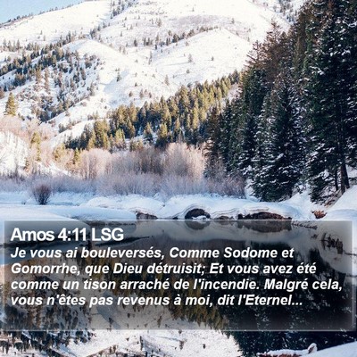 Amos 4:11 LSG Bible Verse Image