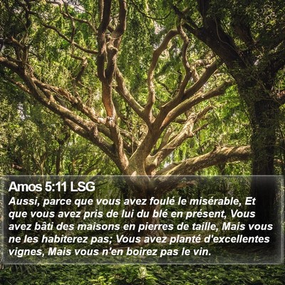 Amos 5:11 LSG Bible Verse Image