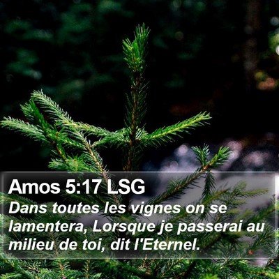 Amos 5:17 LSG Bible Verse Image