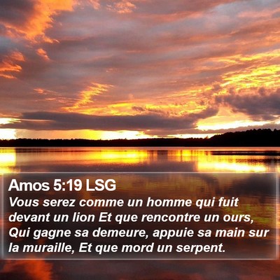 Amos 5:19 LSG Bible Verse Image