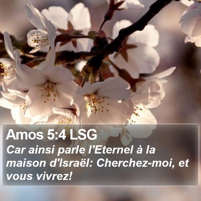 Amos 5:4 LSG Bible Verse Image
