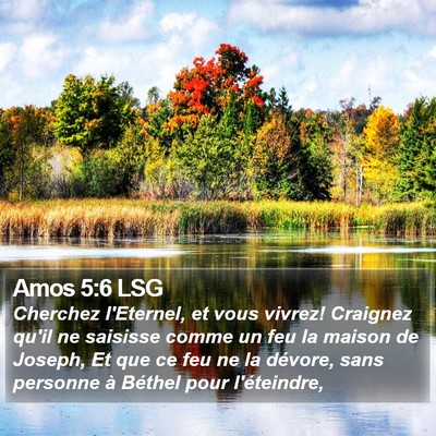 Amos 5:6 LSG Bible Verse Image