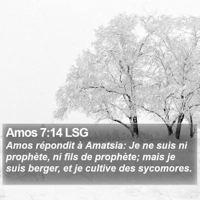 Amos 7:14 LSG Bible Verse Image