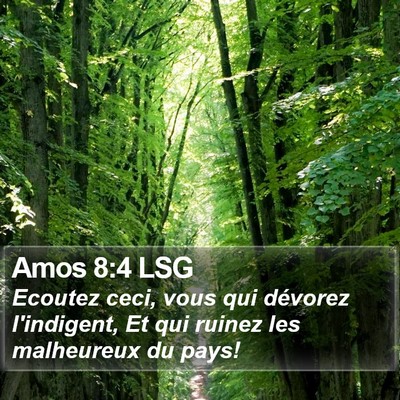 Amos 8:4 LSG Bible Verse Image