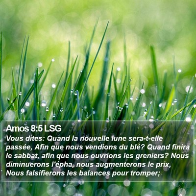 Amos 8:5 LSG Bible Verse Image