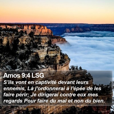 Amos 9:4 LSG Bible Verse Image