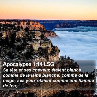 Apocalypse 1:14 LSG Bible Verse Image