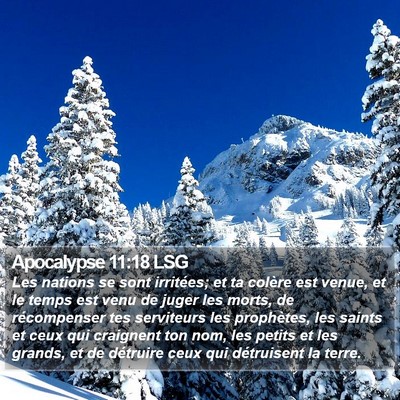 Apocalypse 11:18 LSG Bible Verse Image