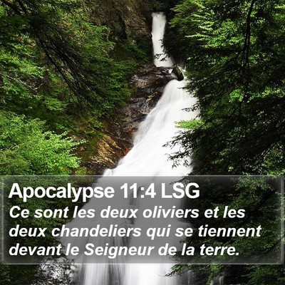Apocalypse 11:4 LSG Bible Verse Image