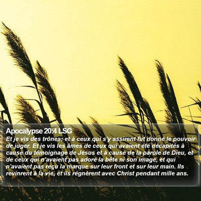 Apocalypse 20:4 LSG Bible Verse Image
