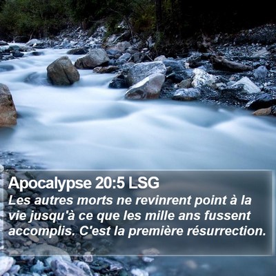 Apocalypse 20:5 LSG Bible Verse Image