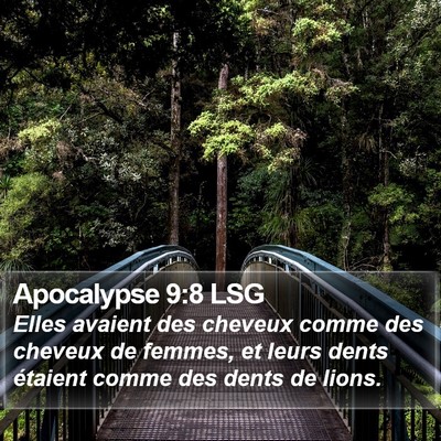 Apocalypse 9:8 LSG Bible Verse Image