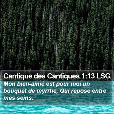 Cantique des Cantiques 1:13 LSG Bible Verse Image