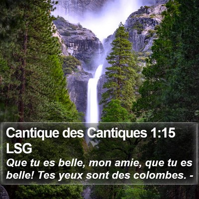 Cantique des Cantiques 1:15 LSG Bible Verse Image