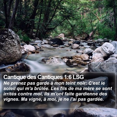 Cantique des Cantiques 1:6 LSG Bible Verse Image