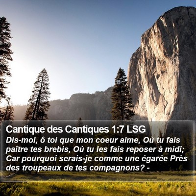 Cantique des Cantiques 1:7 LSG Bible Verse Image