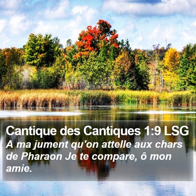 Cantique des Cantiques 1:9 LSG Bible Verse Image