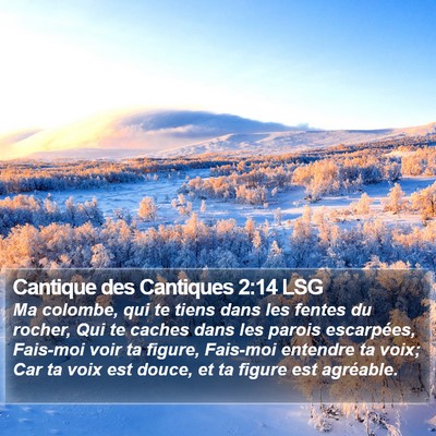 Cantique des Cantiques 2:14 LSG Bible Verse Image
