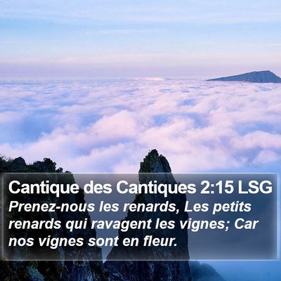 Cantique des Cantiques 2:15 LSG Bible Verse Image