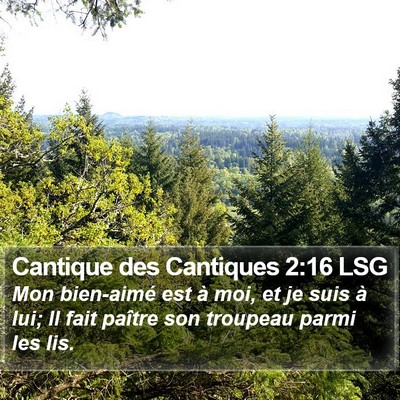Cantique des Cantiques 2:16 LSG Bible Verse Image