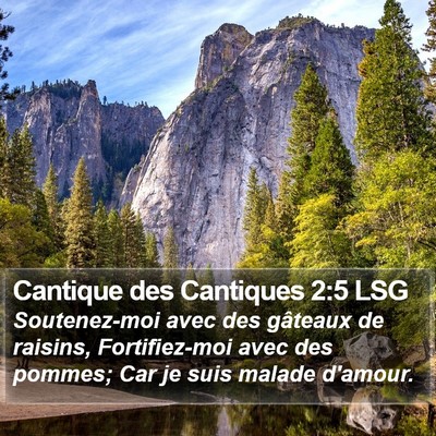 Cantique des Cantiques 2:5 LSG Bible Verse Image