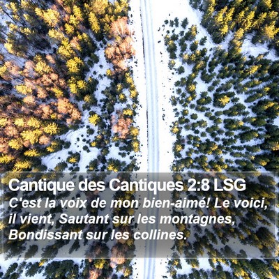 Cantique des Cantiques 2:8 LSG Bible Verse Image