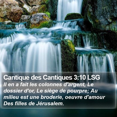 Cantique des Cantiques 3:10 LSG Bible Verse Image