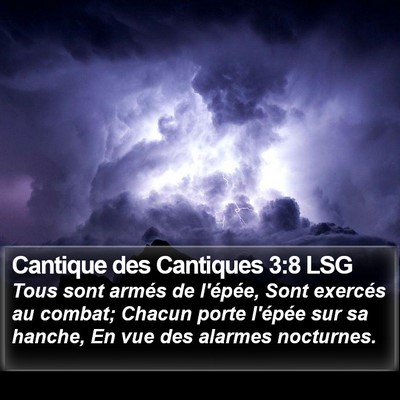 Cantique des Cantiques 3:8 LSG Bible Verse Image