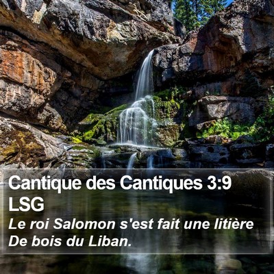 Cantique des Cantiques 3:9 LSG Bible Verse Image
