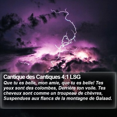 Cantique des Cantiques 4:1 LSG Bible Verse Image