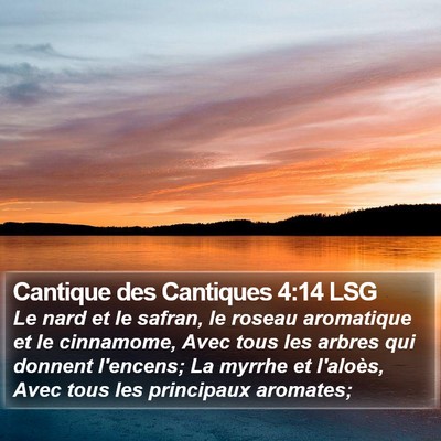 Cantique des Cantiques 4:14 LSG Bible Verse Image