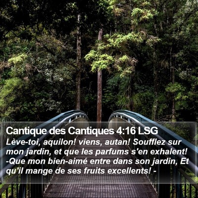 Cantique des Cantiques 4:16 LSG Bible Verse Image