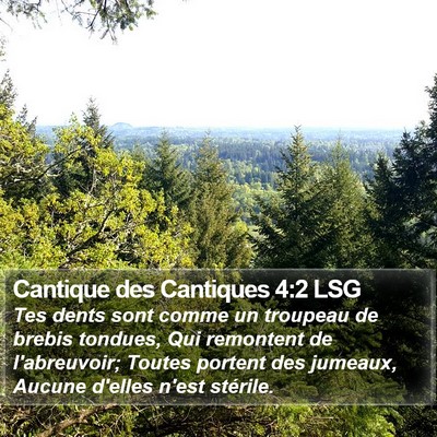 Cantique des Cantiques 4:2 LSG Bible Verse Image