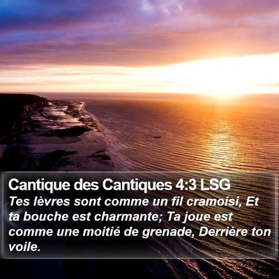 Cantique des Cantiques 4:3 LSG Bible Verse Image