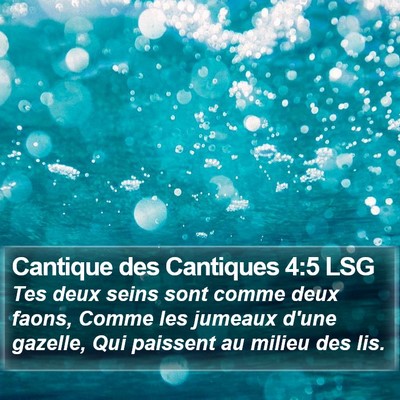 Cantique des Cantiques 4:5 LSG Bible Verse Image