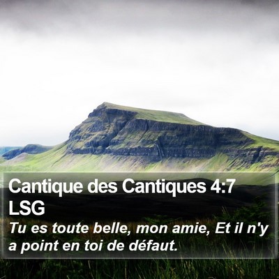 Cantique des Cantiques 4:7 LSG Bible Verse Image