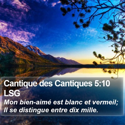 Cantique des Cantiques 5:10 LSG Bible Verse Image