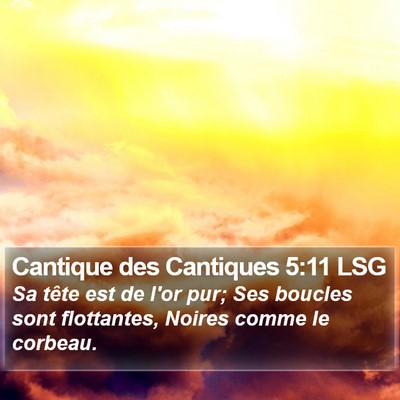 Cantique des Cantiques 5:11 LSG Bible Verse Image
