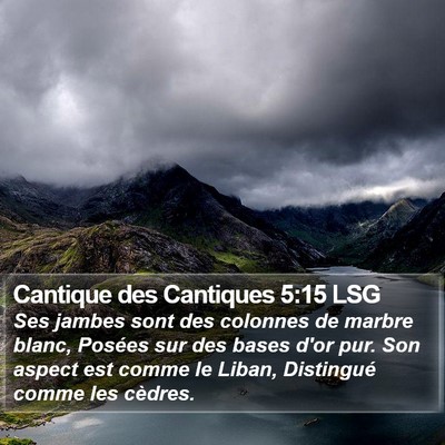 Cantique des Cantiques 5:15 LSG Bible Verse Image