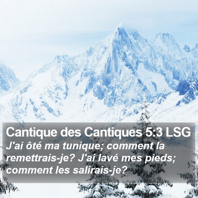 Cantique des Cantiques 5:3 LSG Bible Verse Image