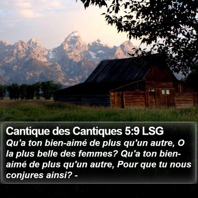 Cantique des Cantiques 5:9 LSG Bible Verse Image