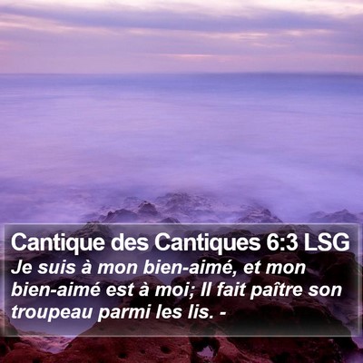 Cantique des Cantiques 6:3 LSG Bible Verse Image