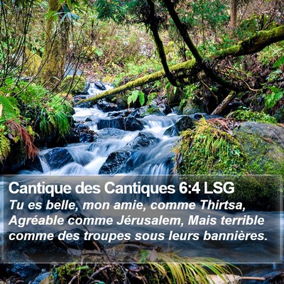Cantique des Cantiques 6:4 LSG Bible Verse Image